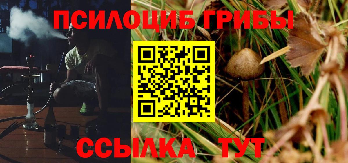 Галлюциногенные грибы Psilocybe  Галлюциногенные грибы мицелий  Кызыл  Вход с VPN 